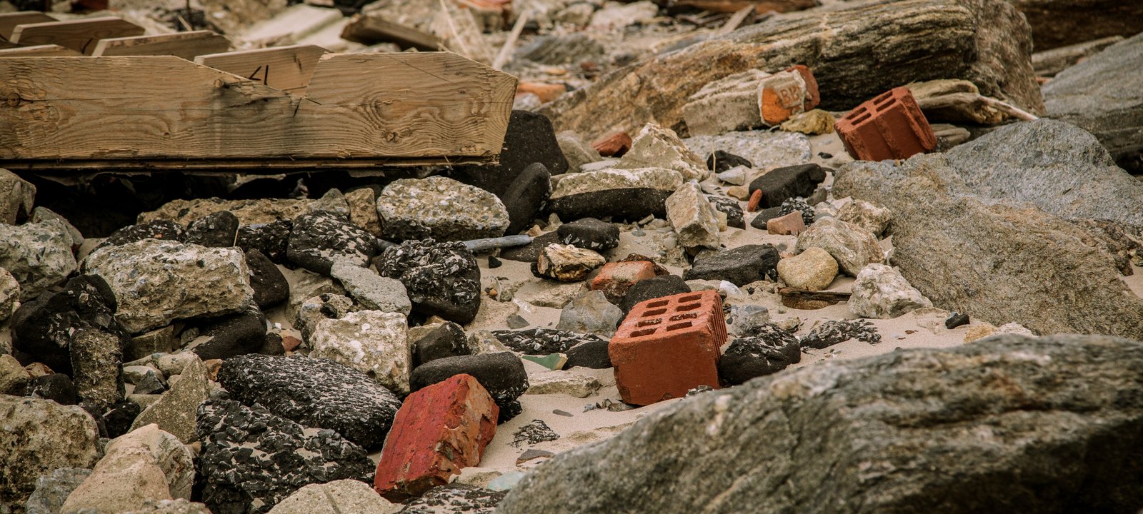 art-of-sandy-mo-seagate 2-30.jpg